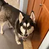 nathankain7 - @nathankain72 - TikTok