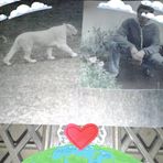 Nathan Karam - Facebook