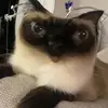 Nathan Keane - @nathan.keane1 - TikTok