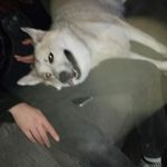 Nathan Keating - @nkeating420 - Instagram