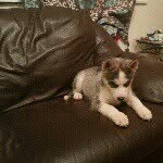 nathan keenan - @nathankeenanlivecouknathankeen - Instagram