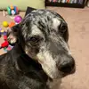 nathankeys77 - @nathankeys77 - TikTok