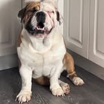 Nathan Kingston - @the1andonlynate1 - Instagram
