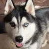nathan kohl - @nathankohl2 - TikTok