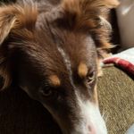 Nathan Koontz - @hightops_nathan - Instagram