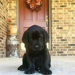 nathan - @nathan.krouse5 - Instagram