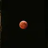 Nathan - @nathan.kruger27 - TikTok