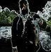 Nathan Krull - Facebook