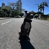 Nathan Kuhn - @nathankuhn1 - TikTok