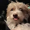 nathankuhn - @nathankuhn080 - TikTok