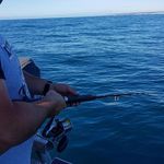 Nathan Lacey - @nathanlacey2465 - Instagram