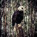 Nathan Lamkin - Facebook