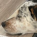 Nathan Larimer - @larimernathan - Instagram