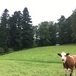 Nathan Lasham - @nathanlasham - Instagram