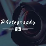 Dogs/Nathan Laughlin - @nathan_laughlin_ - Instagram