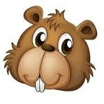 nathan ledbetter - @timmy_da_beaver - Instagram