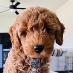Nathan Lee - @nathanlee121807 - Instagram