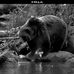 Nathan Lepage - Facebook