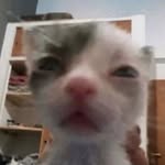 @nathan_lepage_ - Instagram
