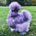 Nathan Leslie - @nathanleslie12 - Instagram