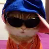 Nathan Levesque - @lechatcool27 - TikTok