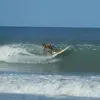 Nathan Lien - @nathanlien3 - TikTok