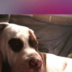 nathan.lienhart - @nathan.lienhart - Instagram
