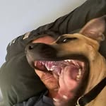 Nathan Lightfoot - @dtetnathan - Instagram