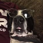 Nathan Lindquist - @lindquist.nathan - Instagram