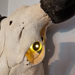 Nathan J Lindstrom - @njl2000 - Instagram