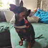 lucky - @nathanlucky6 - TikTok