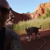 Nathan lupo cecoslovacco - @canelupocecoslovacco - TikTok