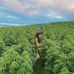 Nathan Jayd Marley - Facebook