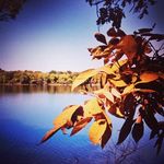 Nathan Mackay - @nathanmackay193 - Instagram