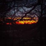 Nathan Mackay - @nathan.mackay.965 - Instagram