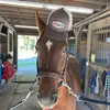 Nathan_Maloney - @nathan_maloney - TikTok