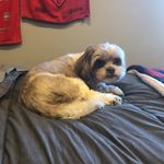 Nathan Maloney - @nmaloney61505 - Instagram
