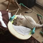 Nathan Mannion - @nathanmanzon - Instagram