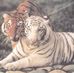 Nathan Manthe - Facebook