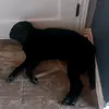 Nathan Lavigne-Mapp - @nathan.lavignemap - TikTok