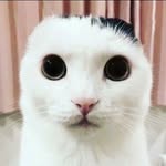 Natan Markiewicz - @vexq87 - Instagram