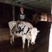 Nate Marriott - Facebook