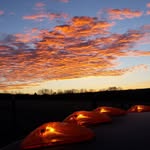 Nathan Mast - @mastoutbackacres - Instagram