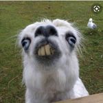 Nathan Mather - @nathanmather636r - Instagram