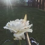 Nathan Mathieson - @nathanxmathieson - Instagram