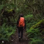 Nathan Mattinson - @nathan_mattinson_photography - Instagram