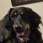 Nathan Matteson - @shepherd.gg1 - Instagram