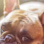 Nathan Matteson - @mattesonnathan - Instagram