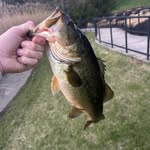 Nathan McClain - @nate_reels - Instagram