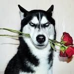 nathan mcclain - @nate_not_the_great_ - Instagram